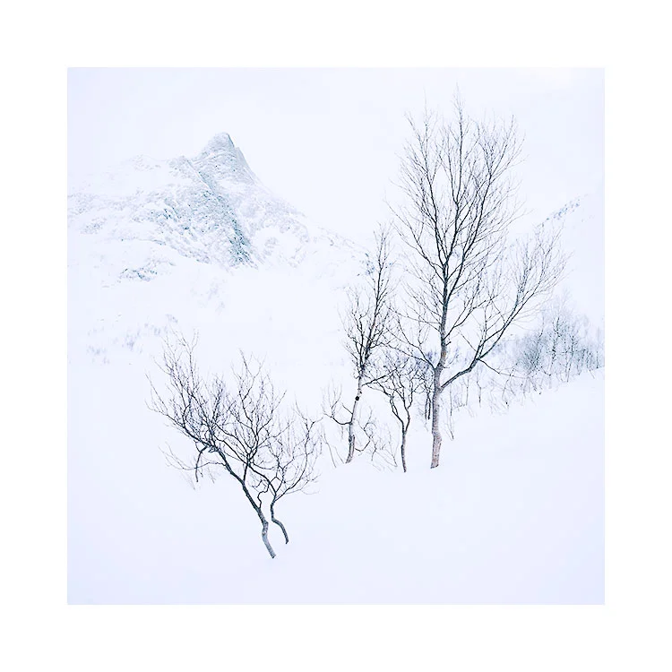 Senja2.jpg