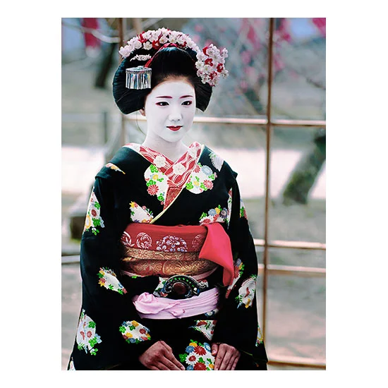 Kyoto, Japan, 2015