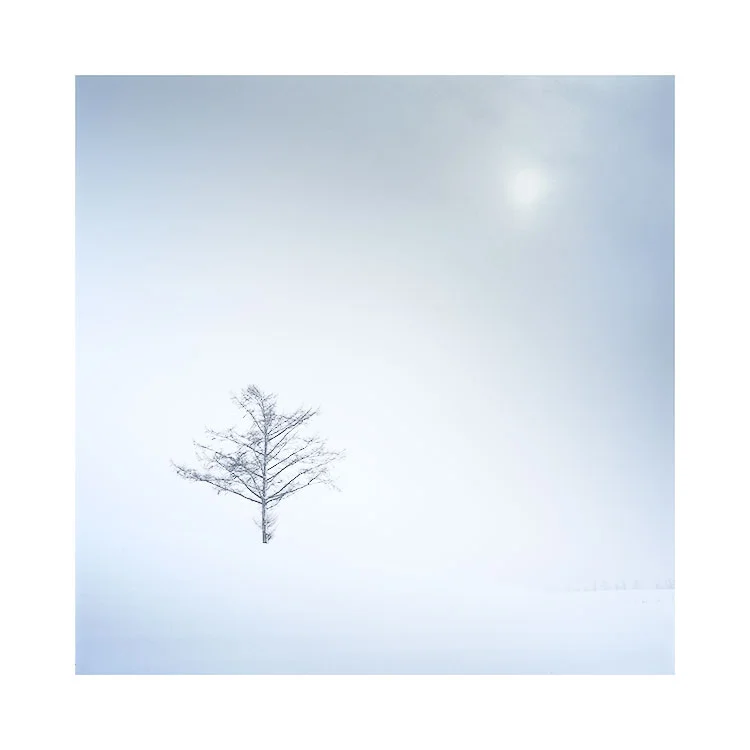 Biei, Hokkaido December 2015. Image © Bruce Percy 2015.