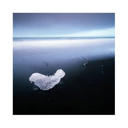 Jokulsarlon-Ice-Seal.jpg