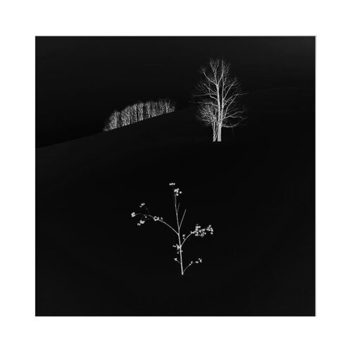 Hokkaido-2018-(20) (2).jpg