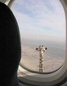 africa1.JPG