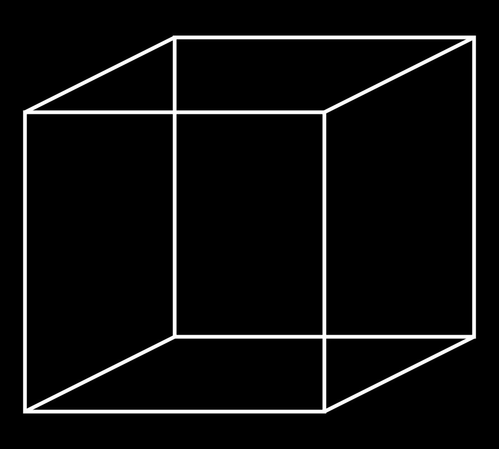 1200px-Necker_cube.svg.jpg
