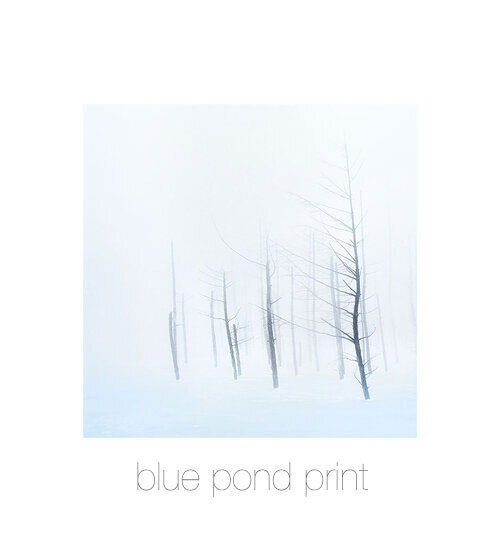 blue-pond-print.jpg