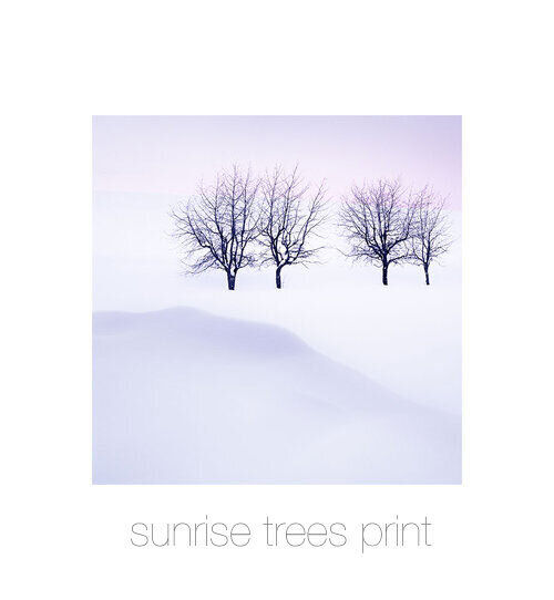sunrise-trees-print.jpg