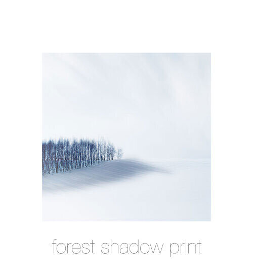 forest-shadow-print.jpg