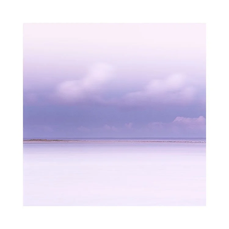 Harris-2023-(5).jpg