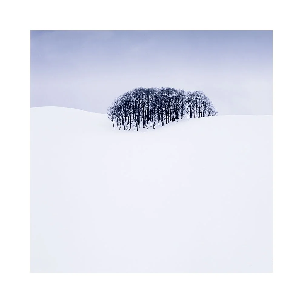 Hokkaido-2023-(17)-copy.jpg