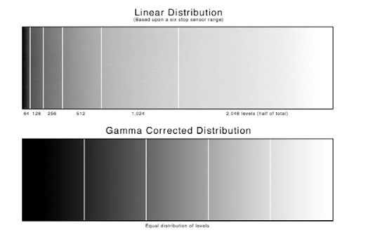 Further thoughts on linear profiles