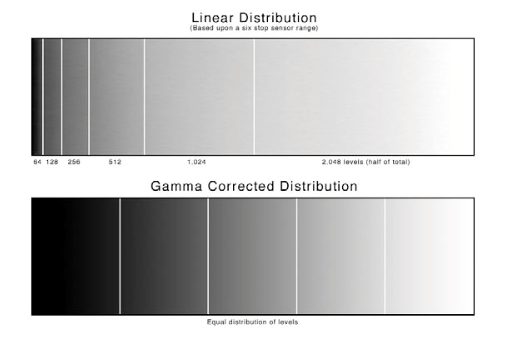 Should you use Linear Profiles?