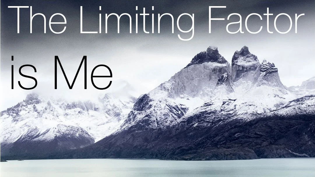 the-limiting-factor.jpg