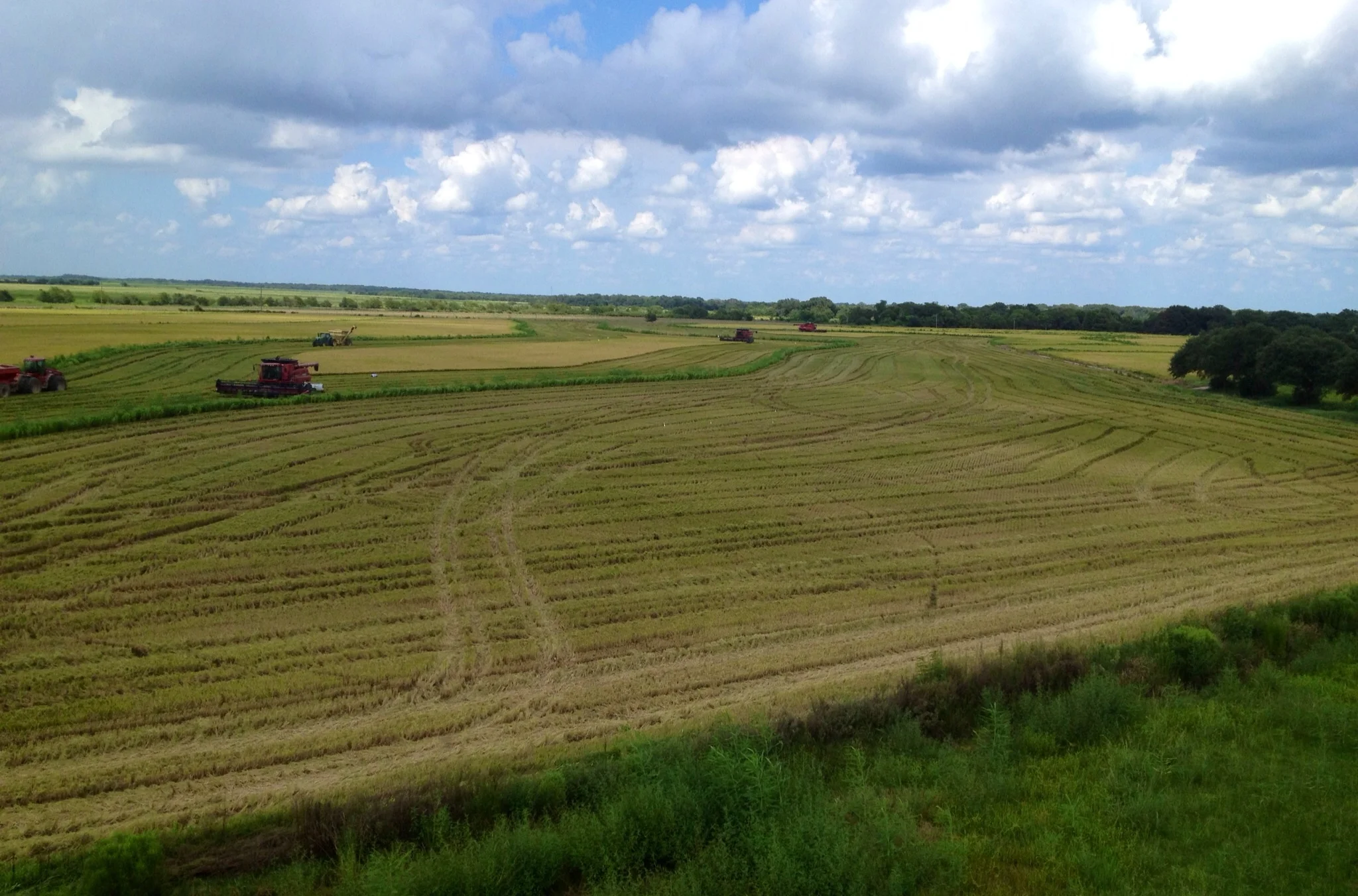 The view from the top of the bins over lookin the fields.