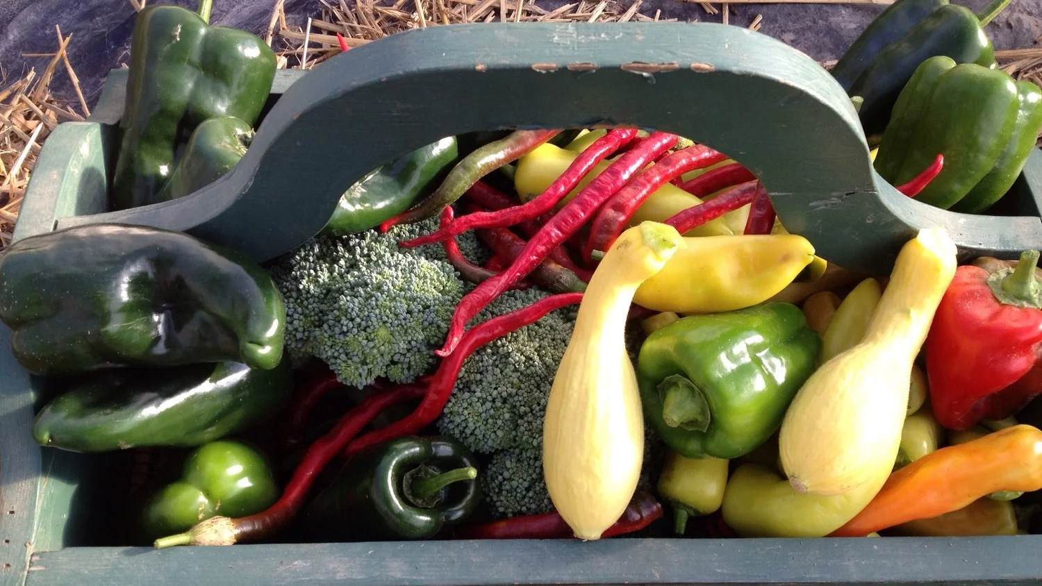 Upcoming Produce - September 2014