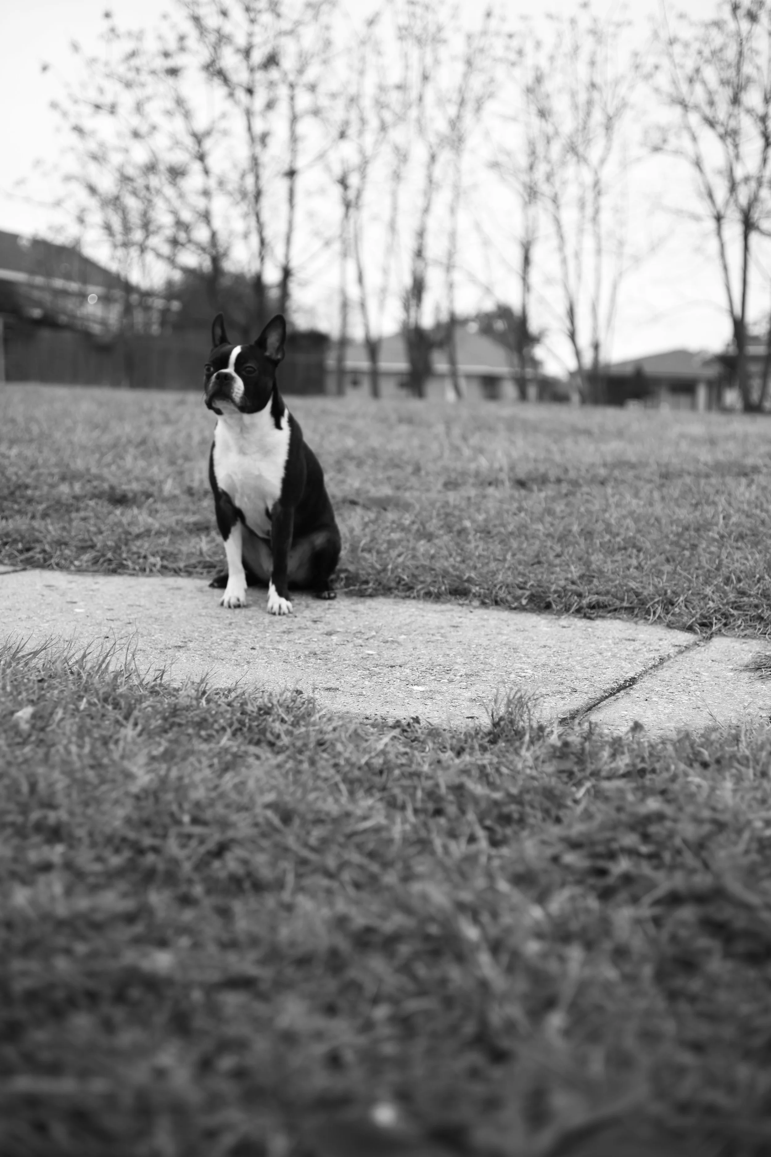 Romeo