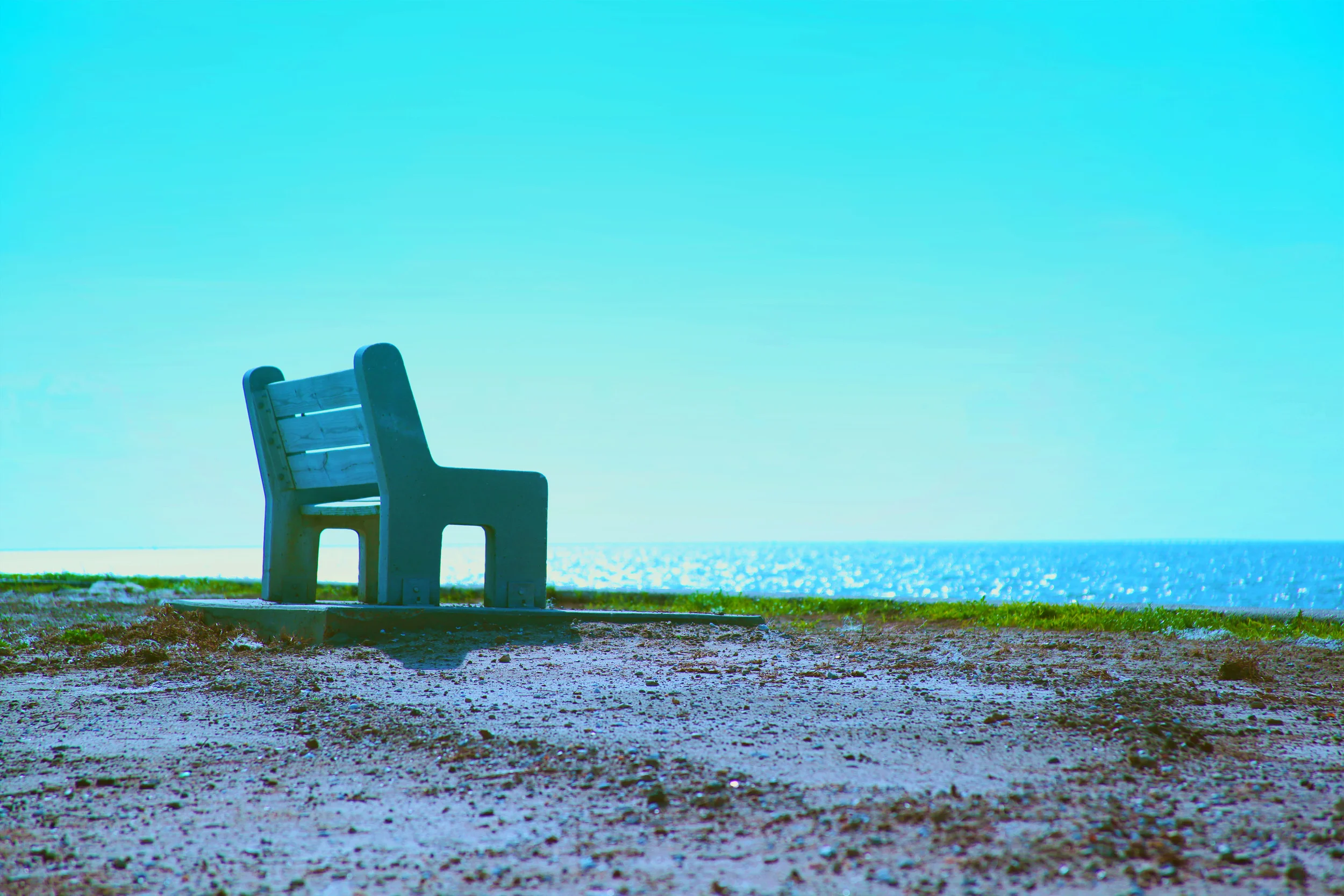 The Lakefront