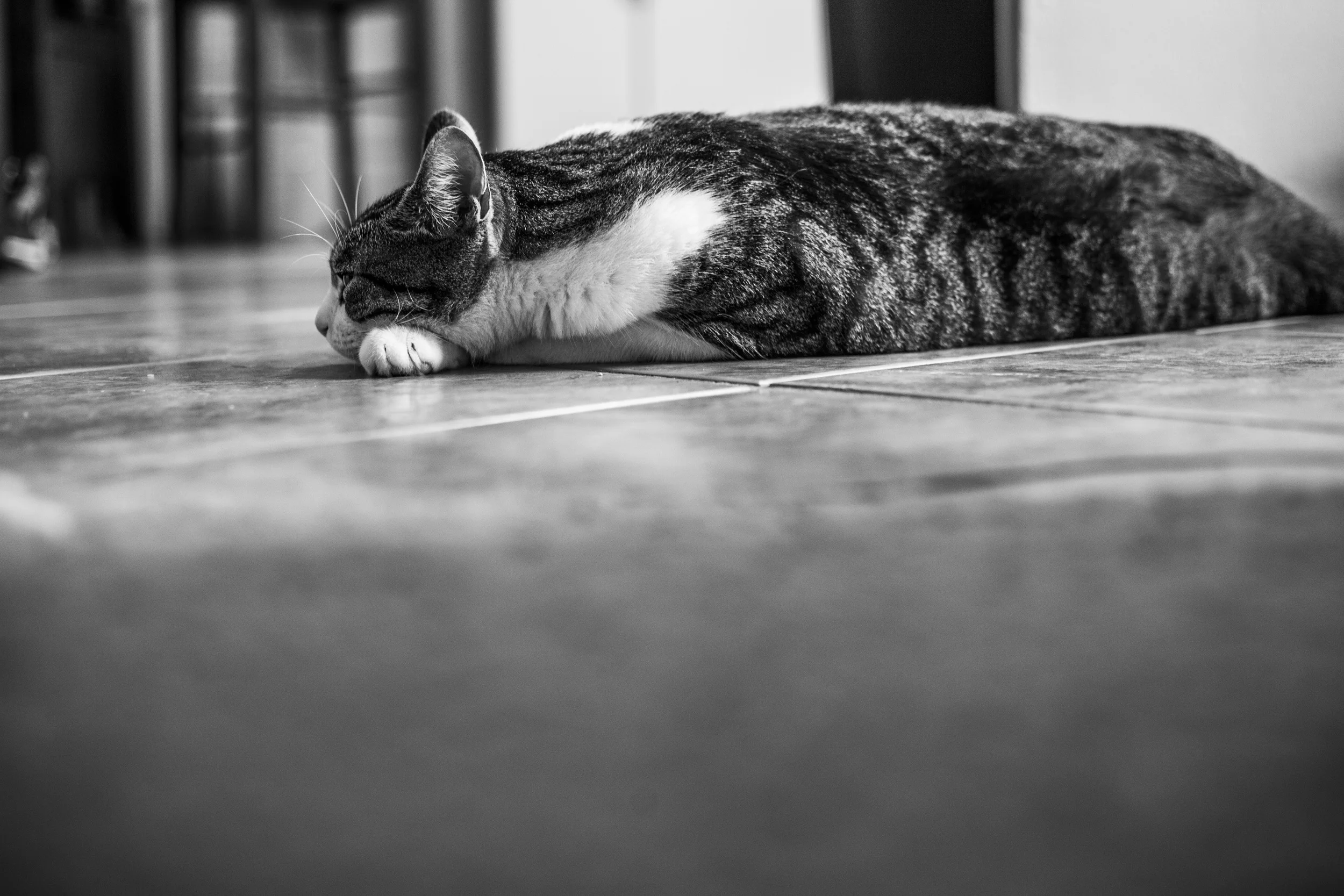 Creole