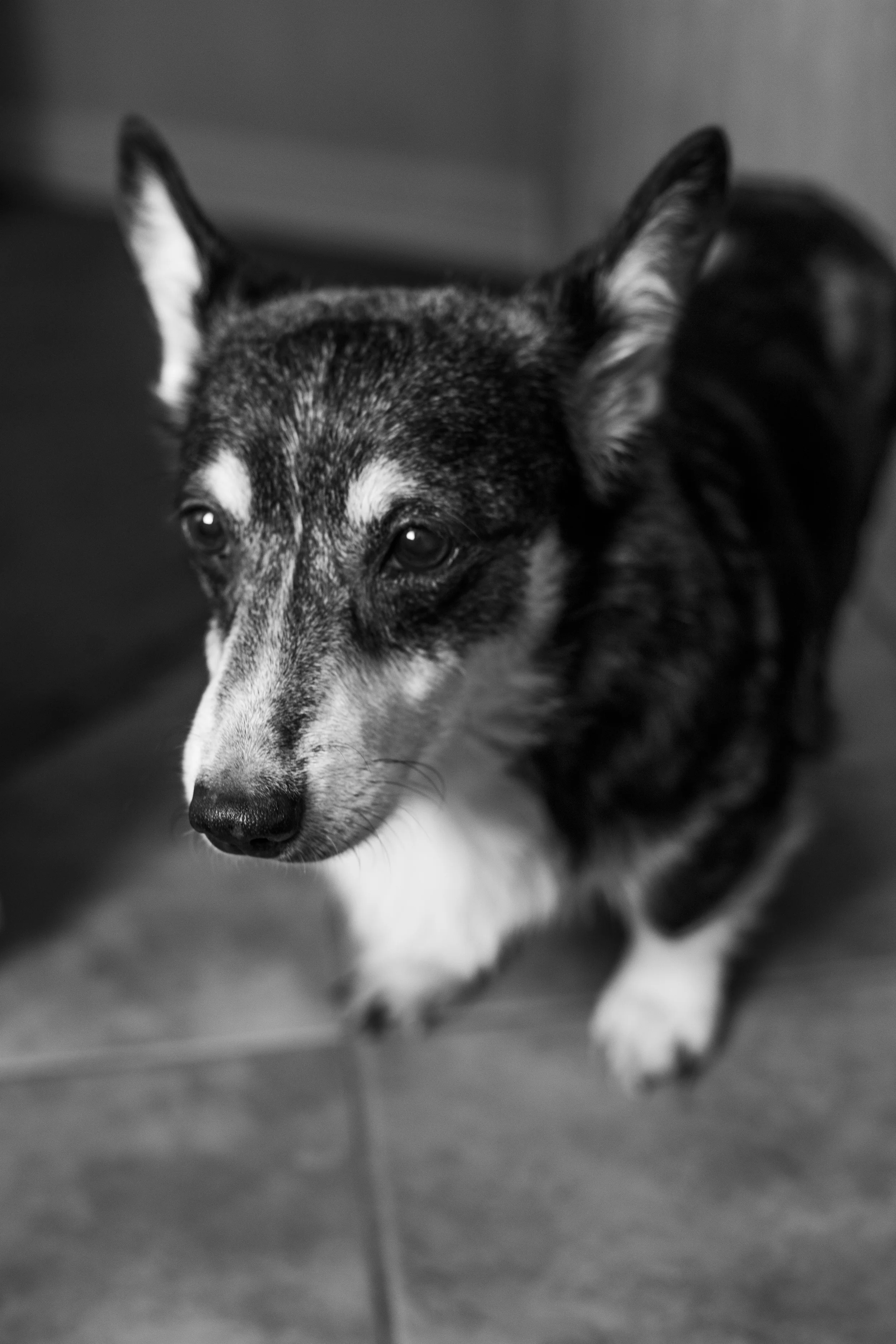 Mason