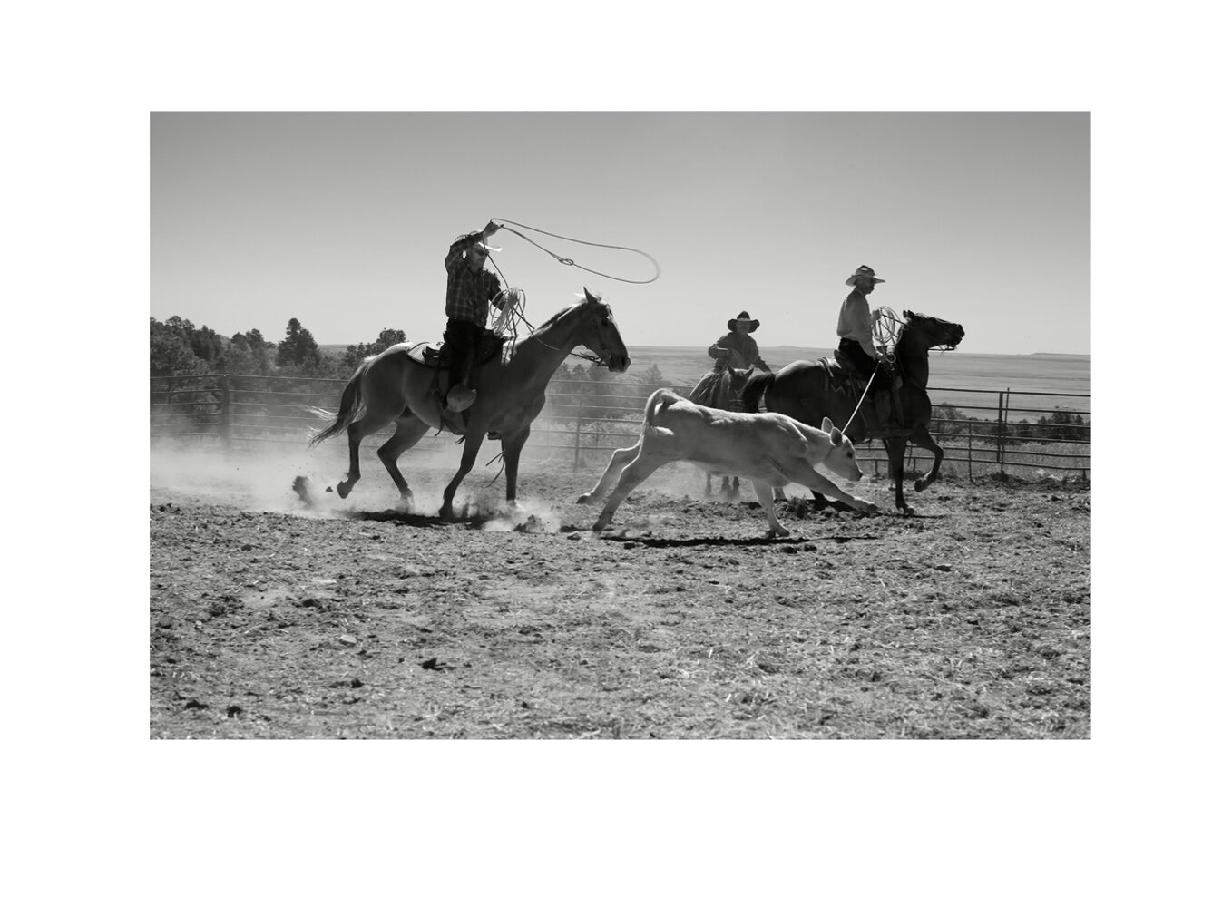 The West : Roping