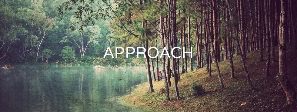 approach.png