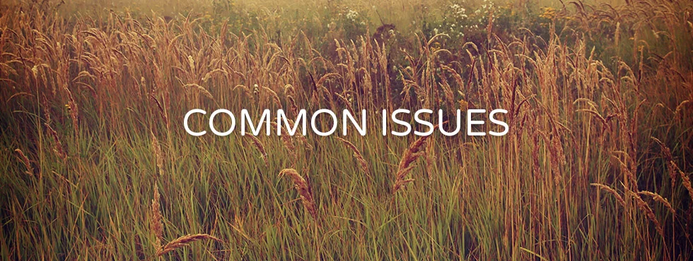common-issues.jpg