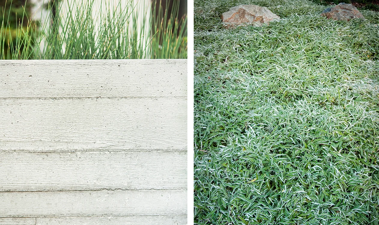 ITERATE, DON'T ORIGINATE || How our projects survive this complex world