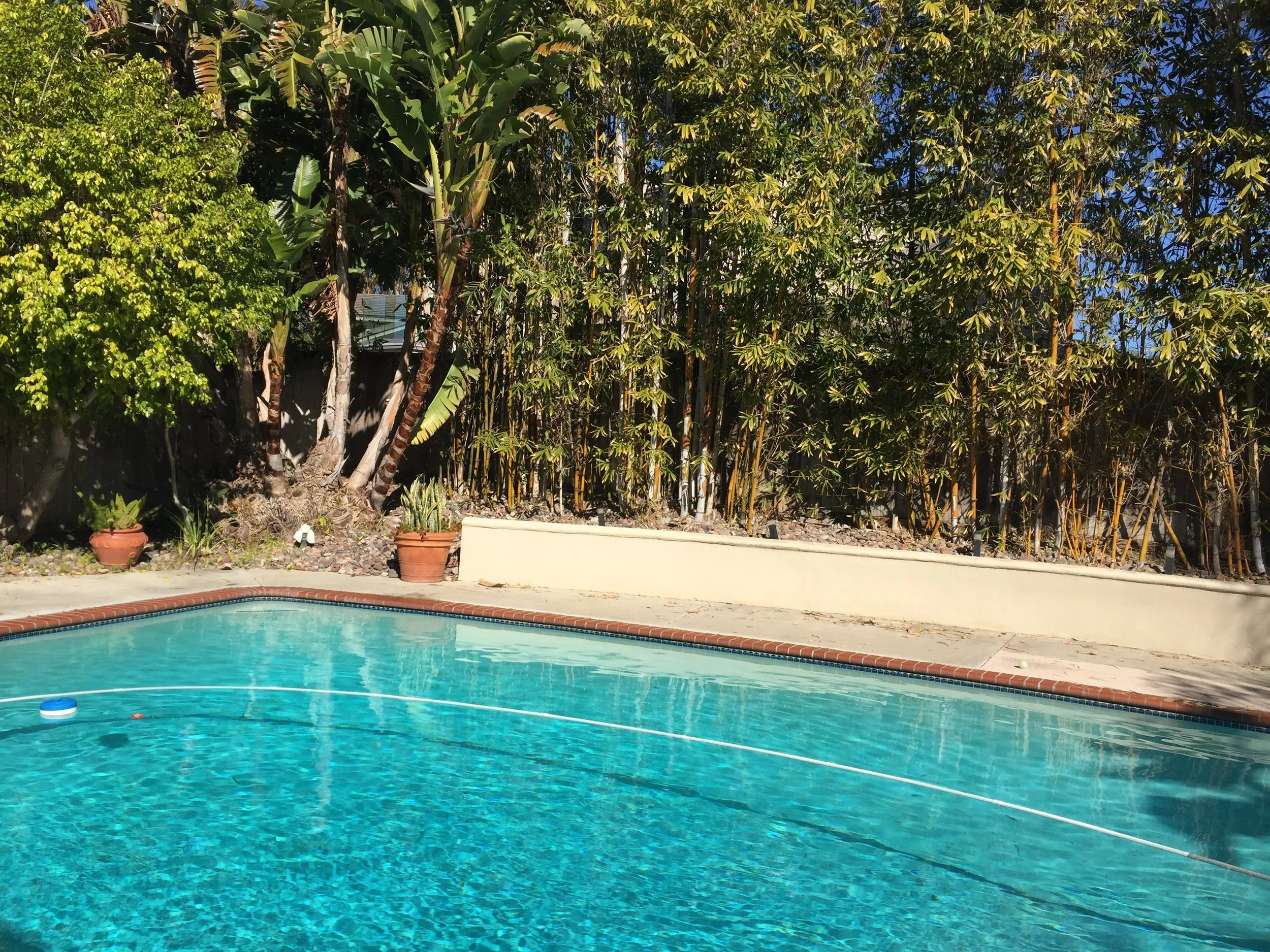 Project Updates: Pool-ception a Pool within a Pool