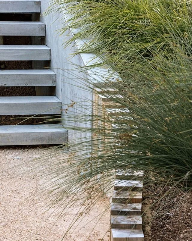 This concrete retaining wall stops short of shoring up the grade. We picked up with 6x6 timbers in serpentine pattern to retain the slope. Lomandra &lsquo;breeze&rsquo; hangs over the edges. .
.
#fwl #designbuild #encinitas #requeza