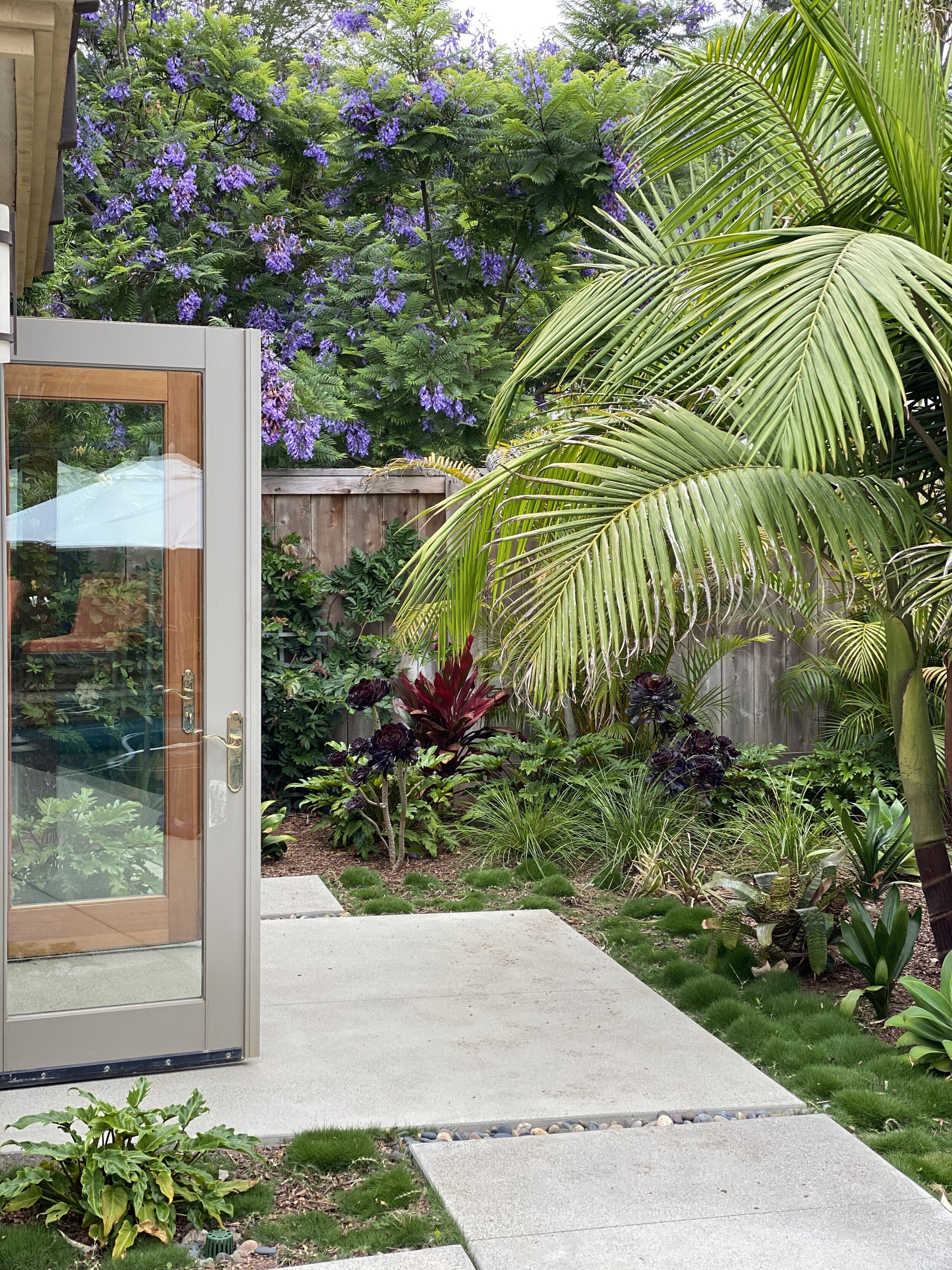 pacific landscaping ca on Projects Falling Waters Landscape