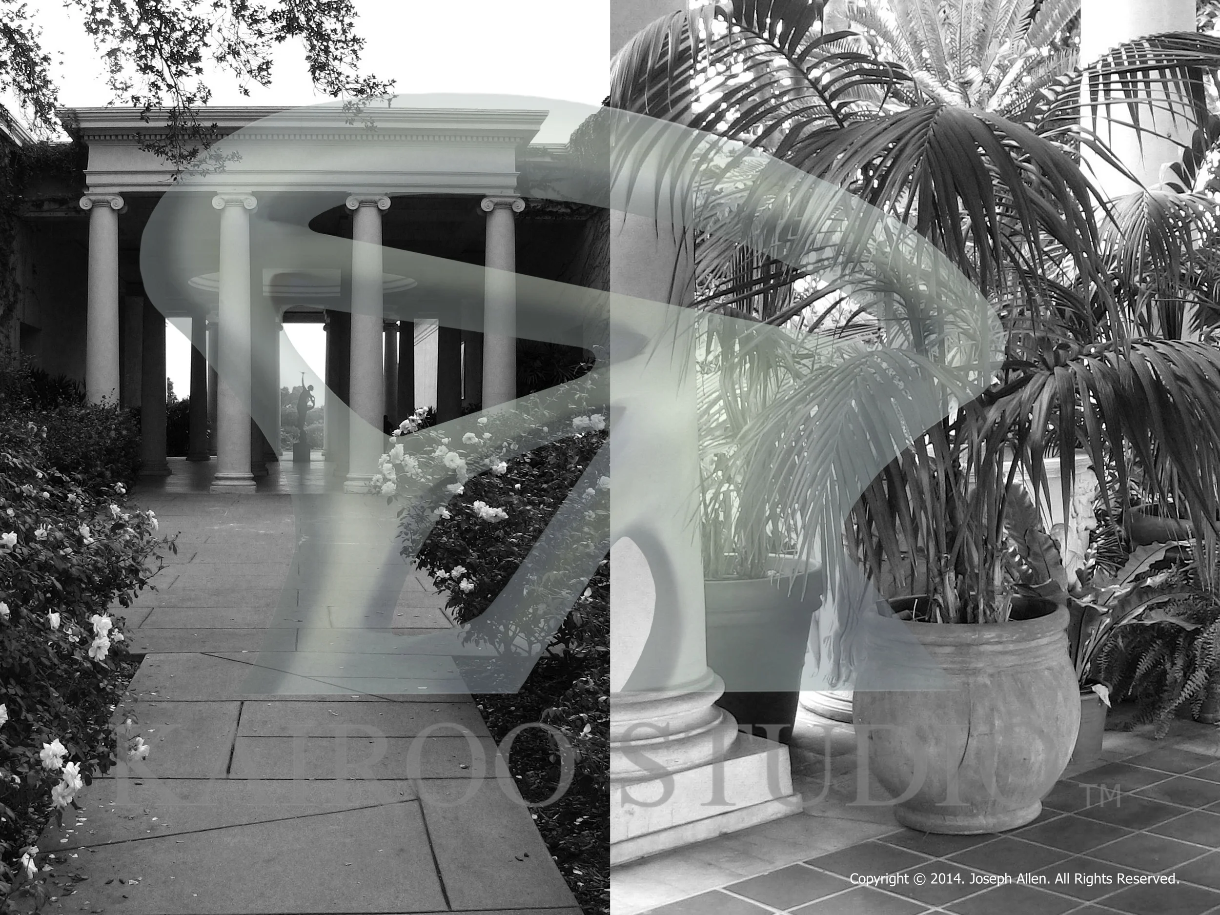 KS WEBSITE INTRO COVERS 3.jpg