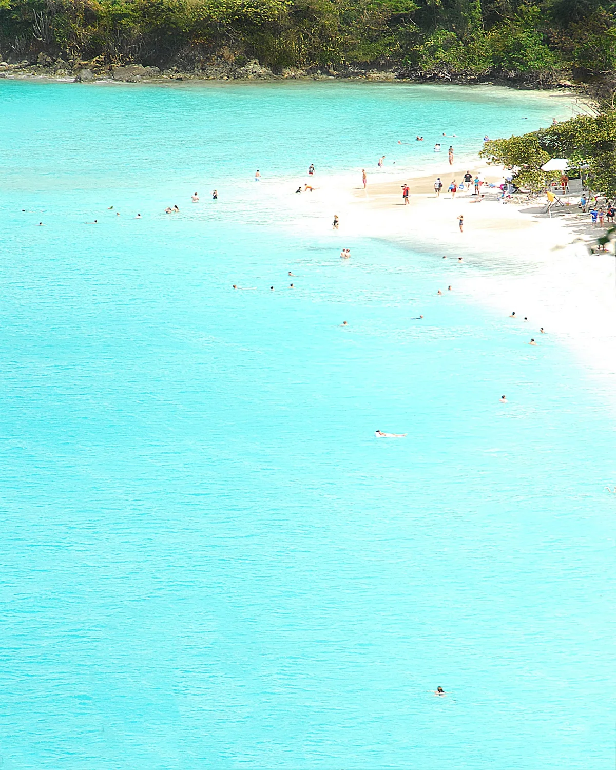 Trunk Bay