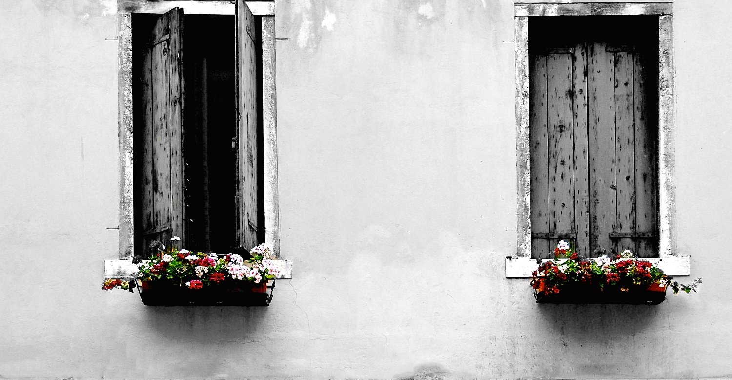 Window Sill (black and white)