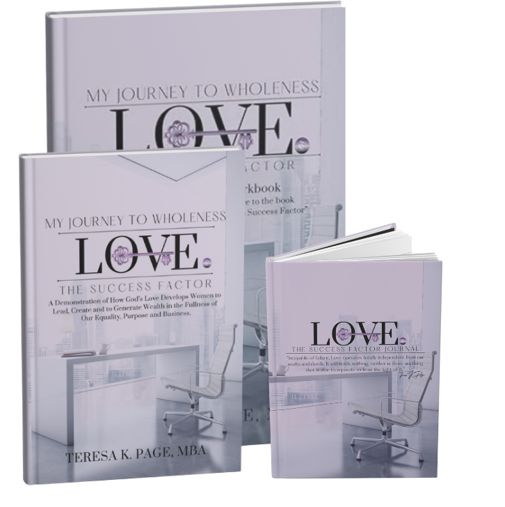 Love The Success Factor Book & Gift Sets