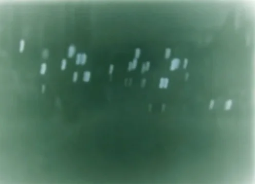 In the Half-Light of the Imaginary