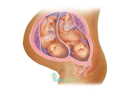 image from the baby center.com