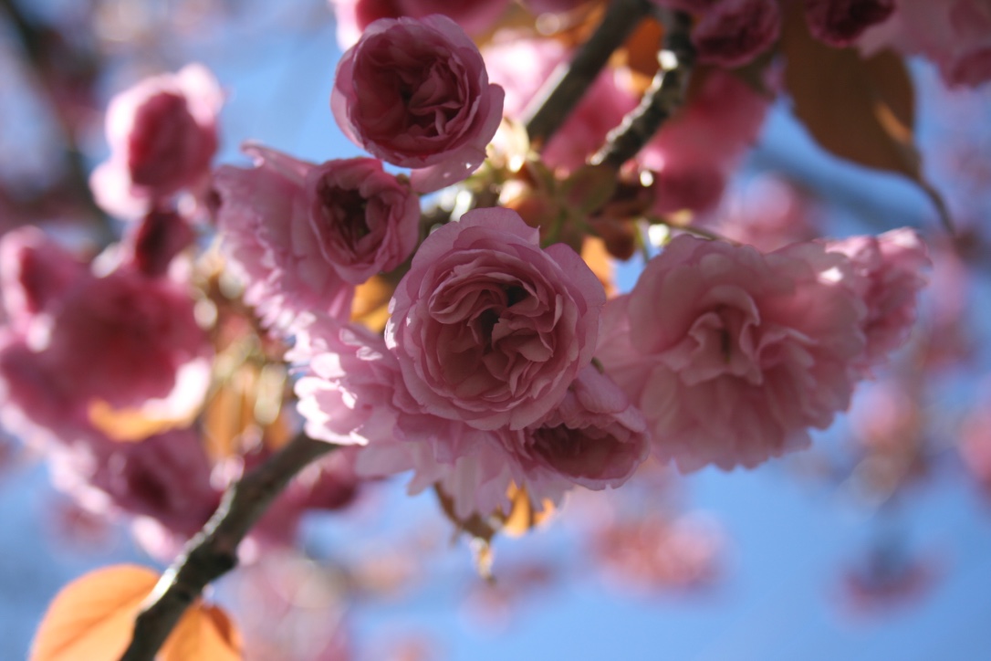 thumb_IMG_5869_1024.jpg