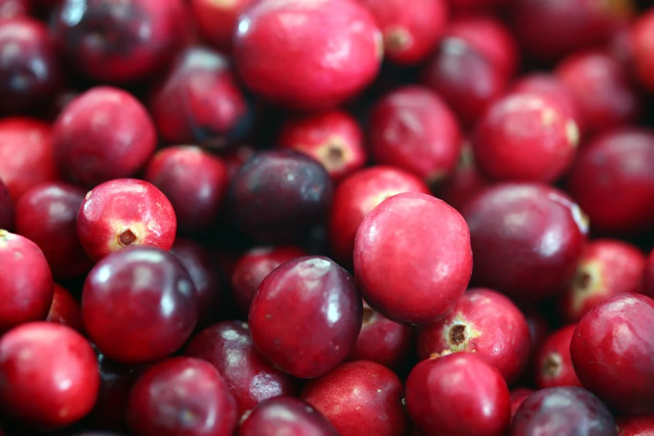 Cranberry + Orange