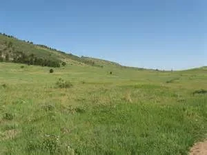 Solar on Open Space?