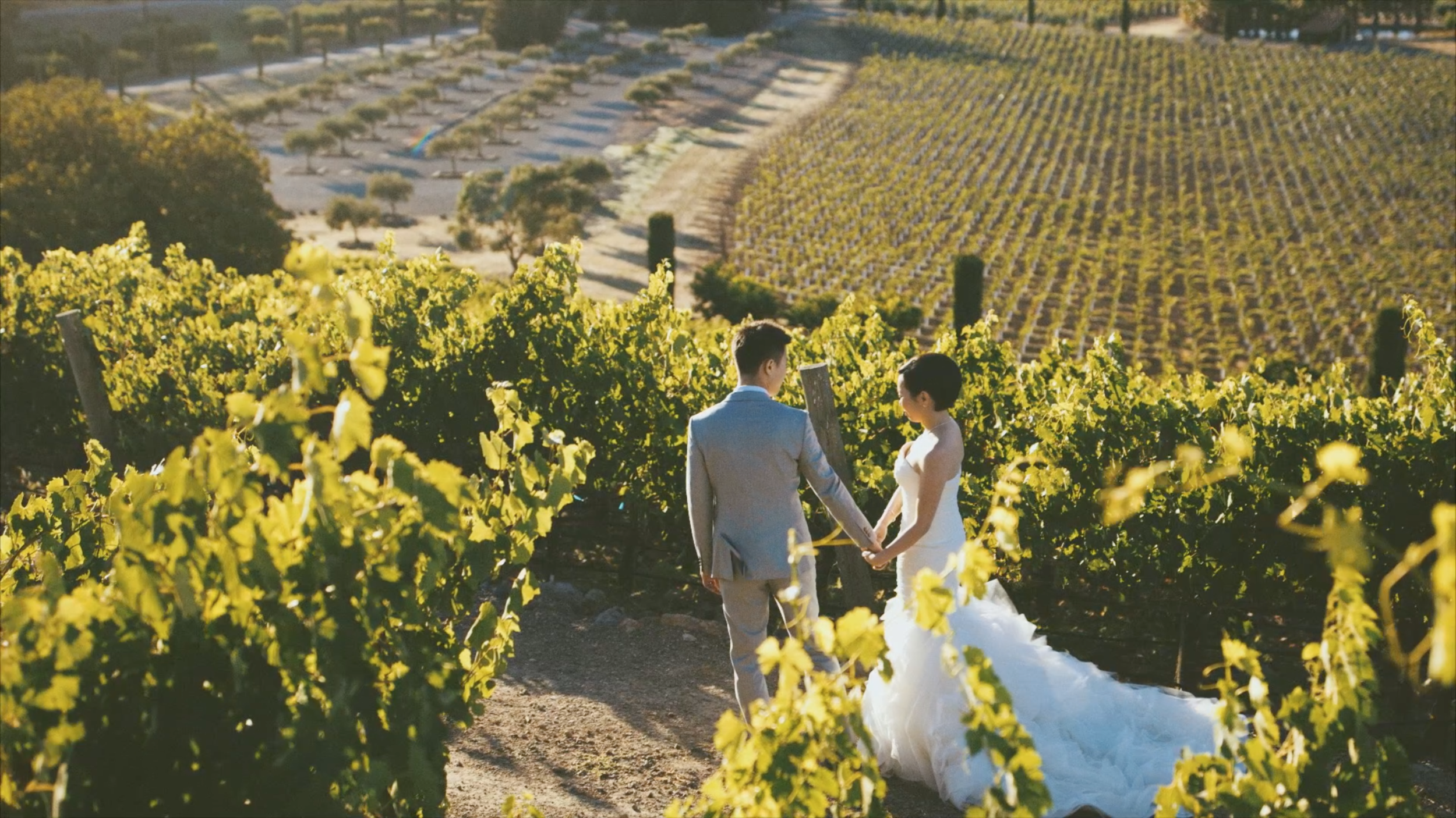 Derek and Meiling Wedding Video Frame 22.png