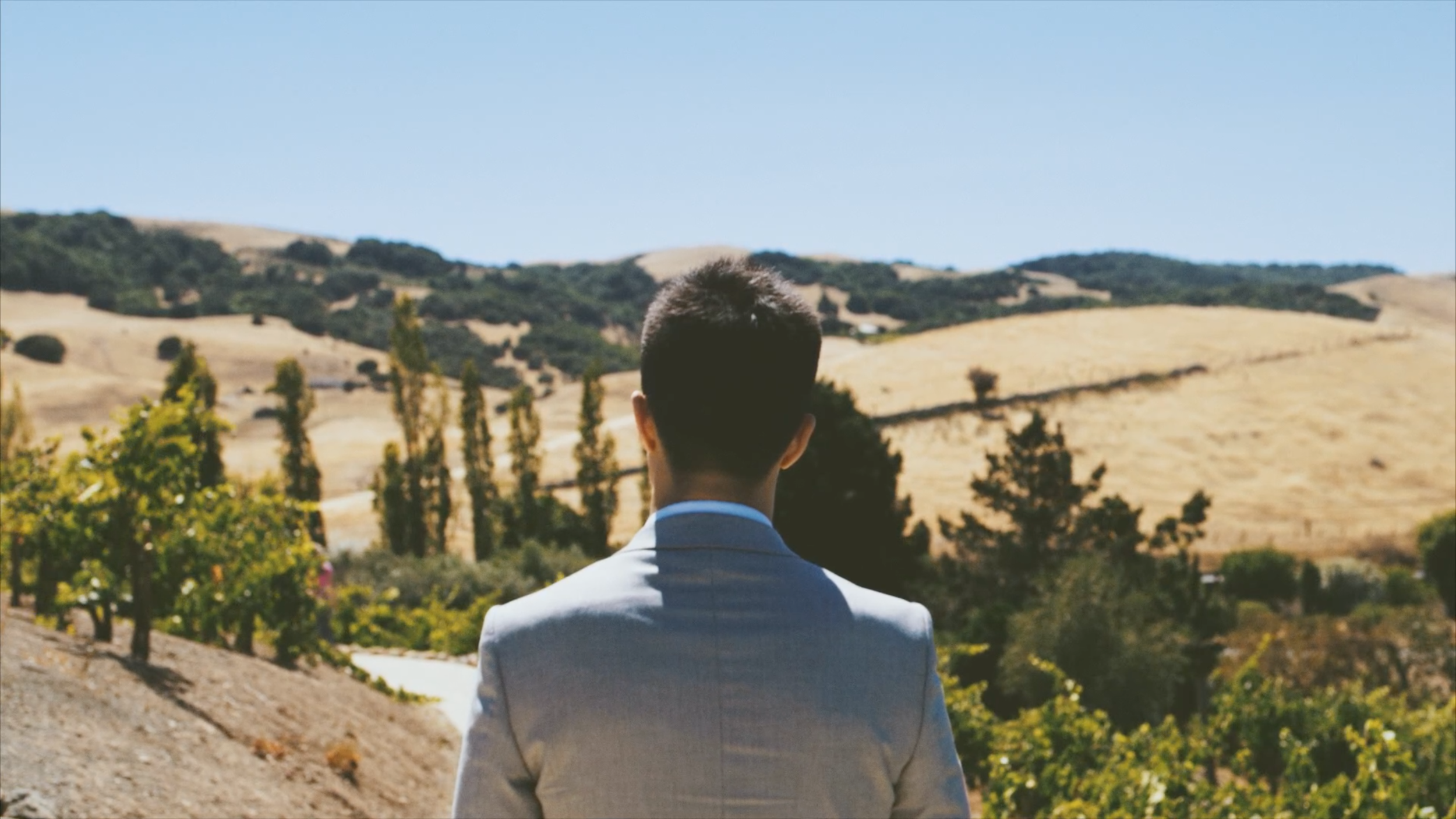 Derek and Meiling Wedding Video Frame 5.png