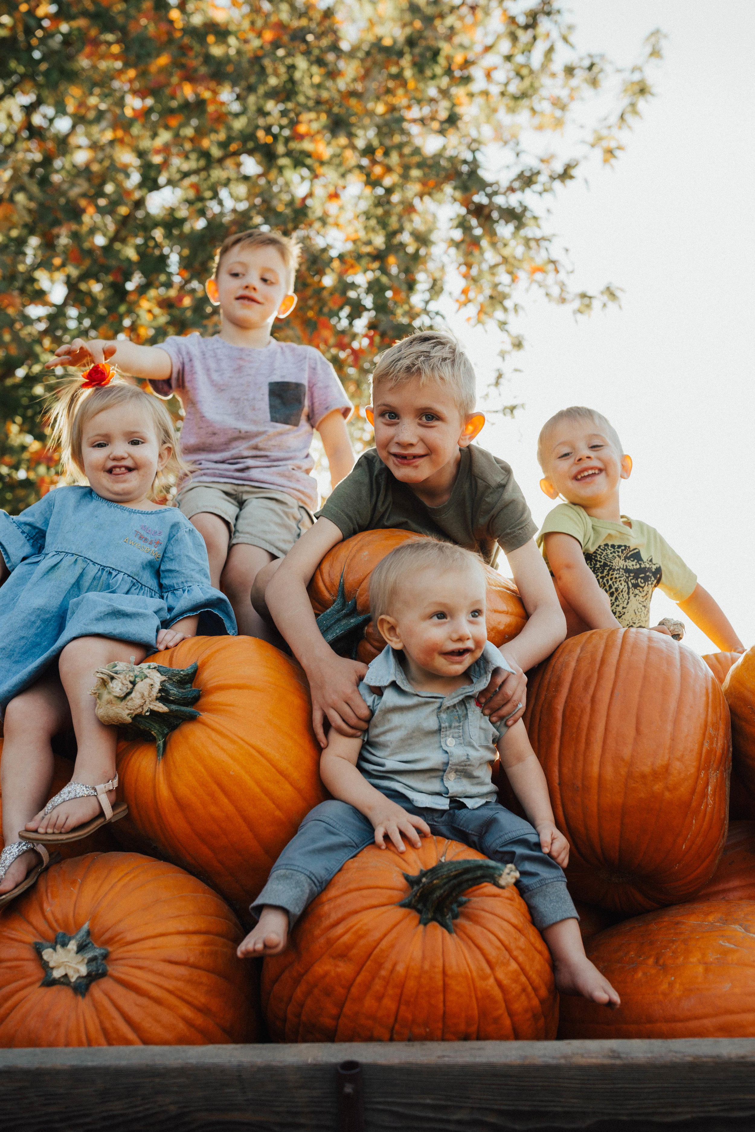 Pumpkin Patch-14.jpg