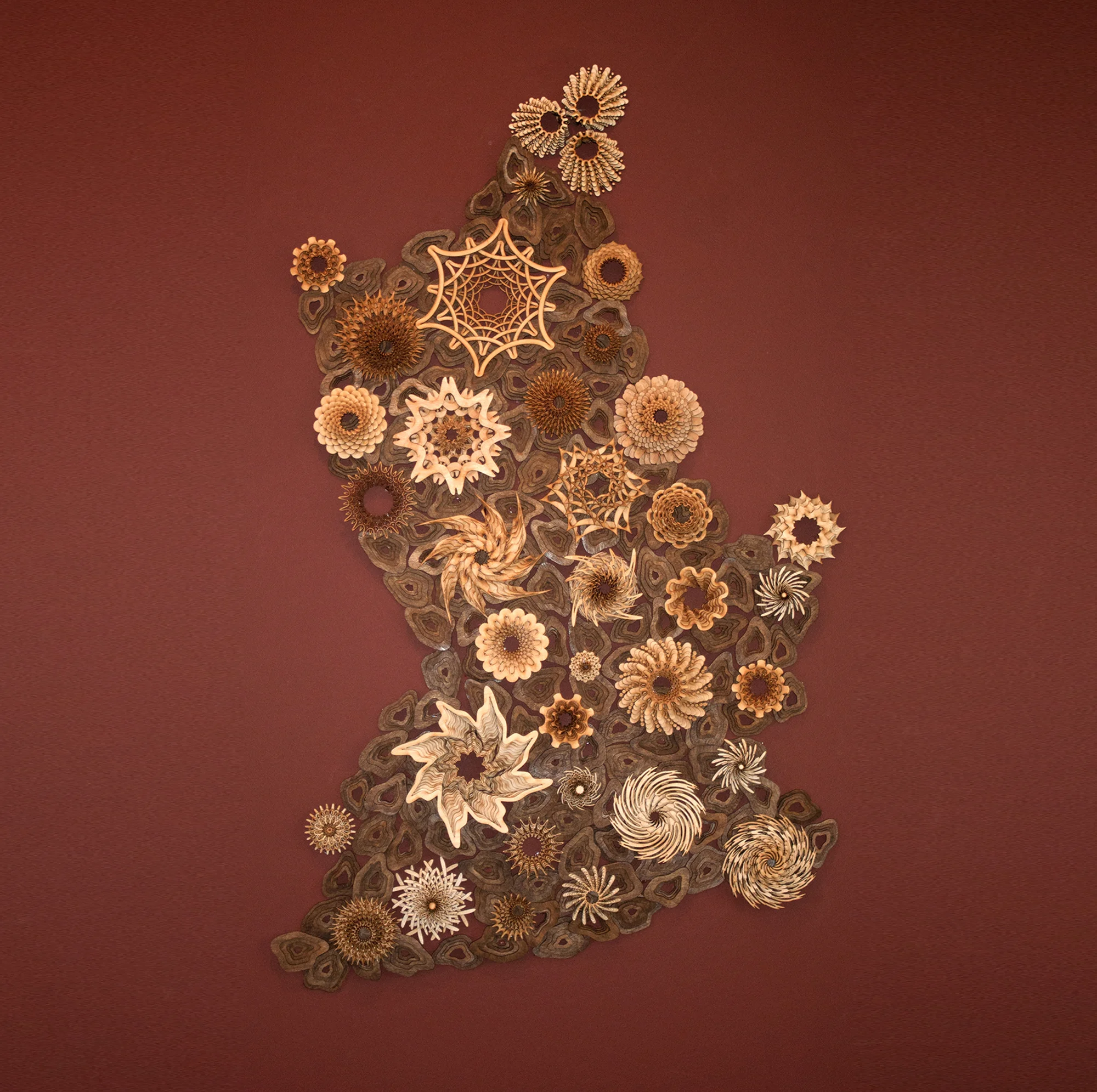 Mini Reef 02 ; 2015; 50" x 30"; stained and unstained wood