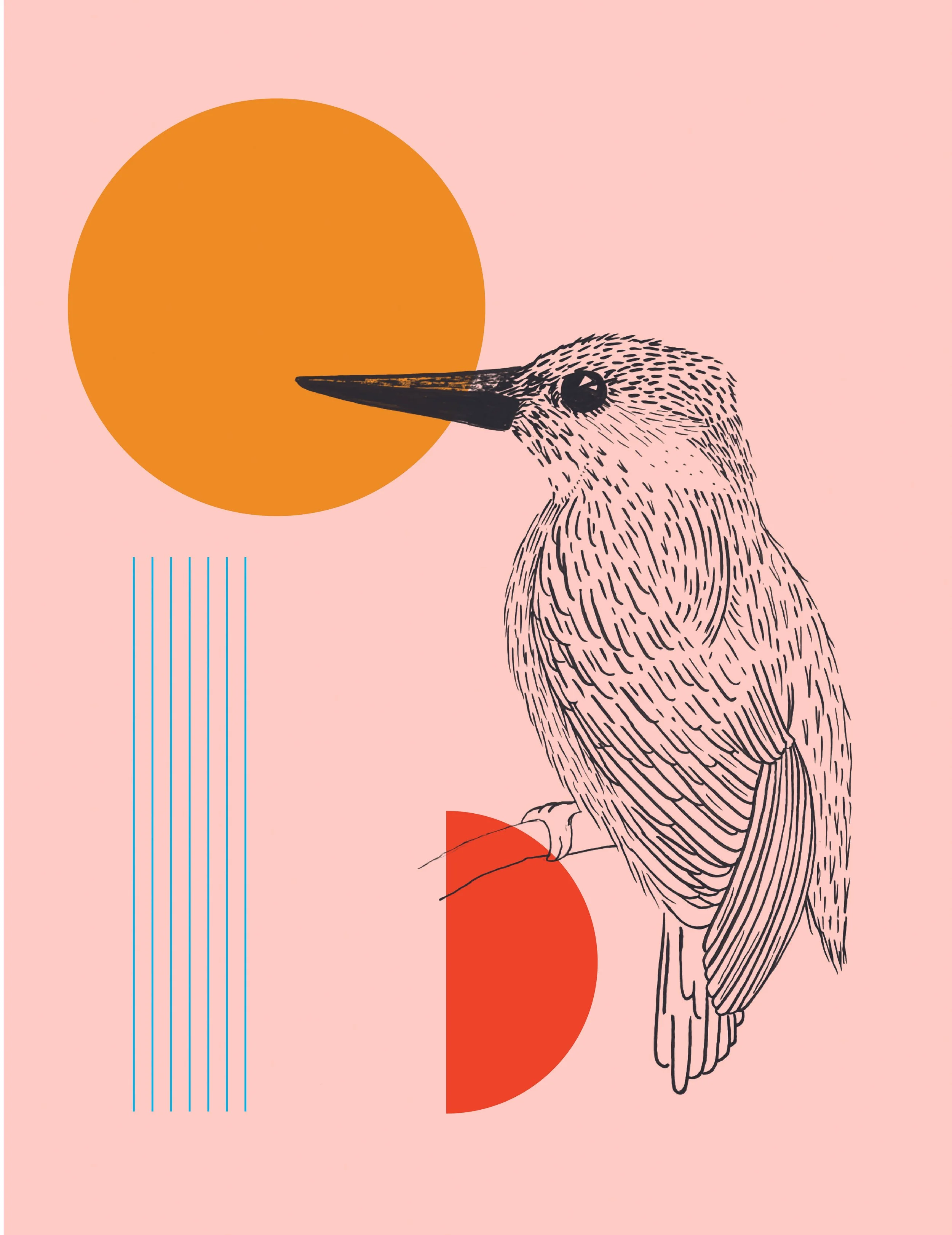 KIngfisher.jpg