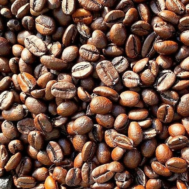 Image 7-3-24 at 1.56 PM.jpeg