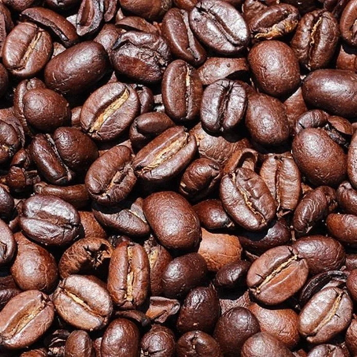 Image 7-3-24 at 1.36 PM.jpeg