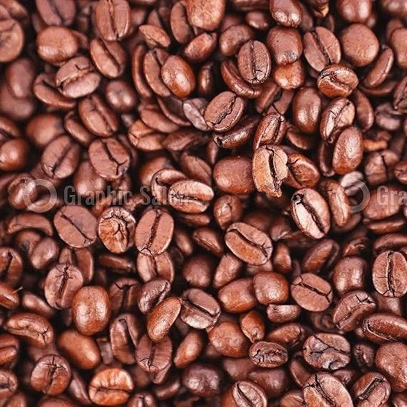 Image 7-3-24 at 1.35 PM.jpeg