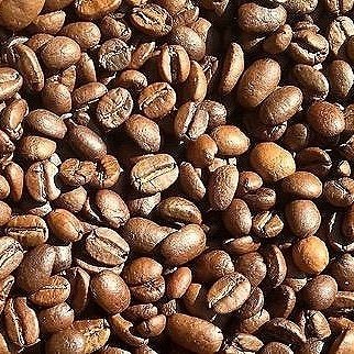 Image 7-3-24 at 1.32 PM.jpeg