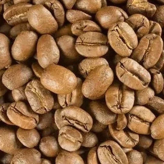 Image 7-3-24 at 1.29 PM.jpeg