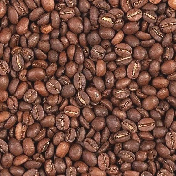 Image 7-3-24 at 1.23 PM.jpeg