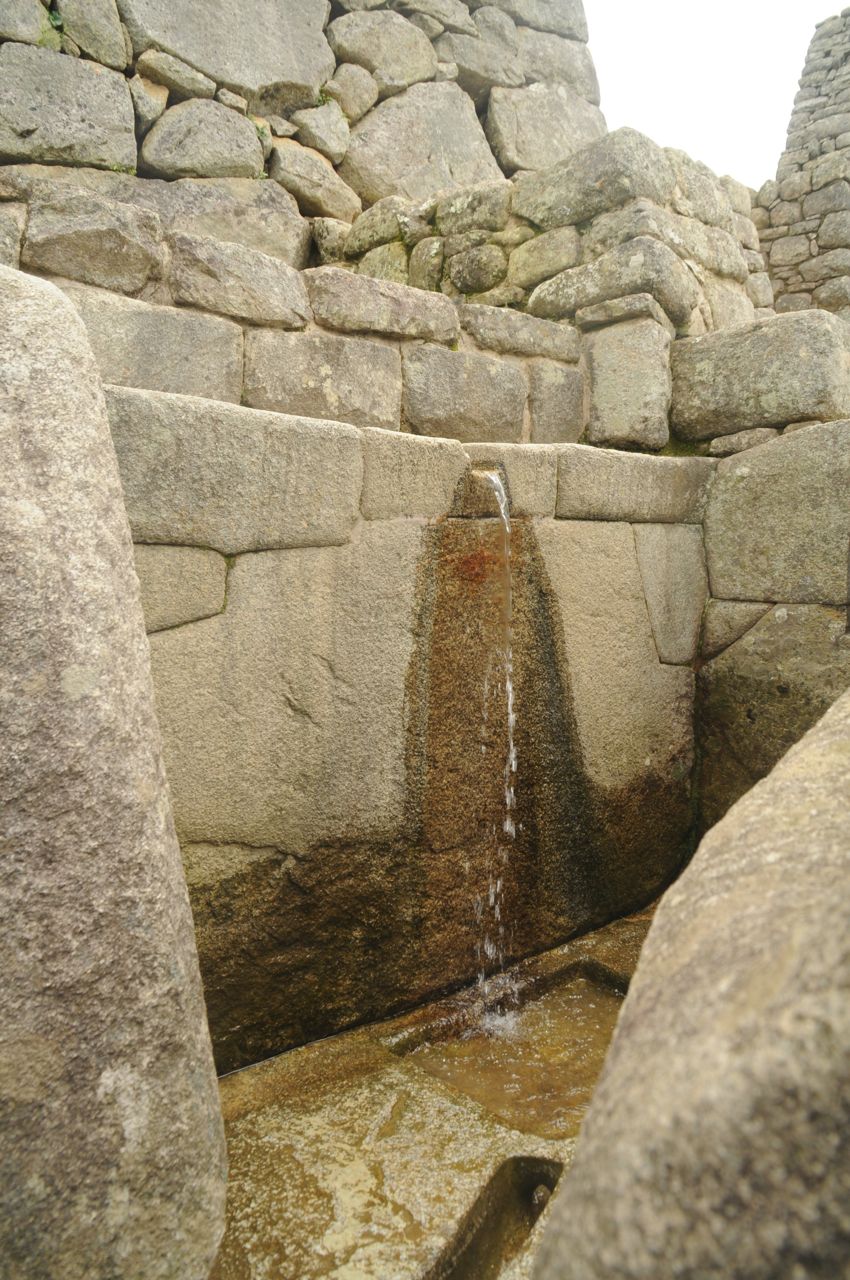 DSC_0776.jpg