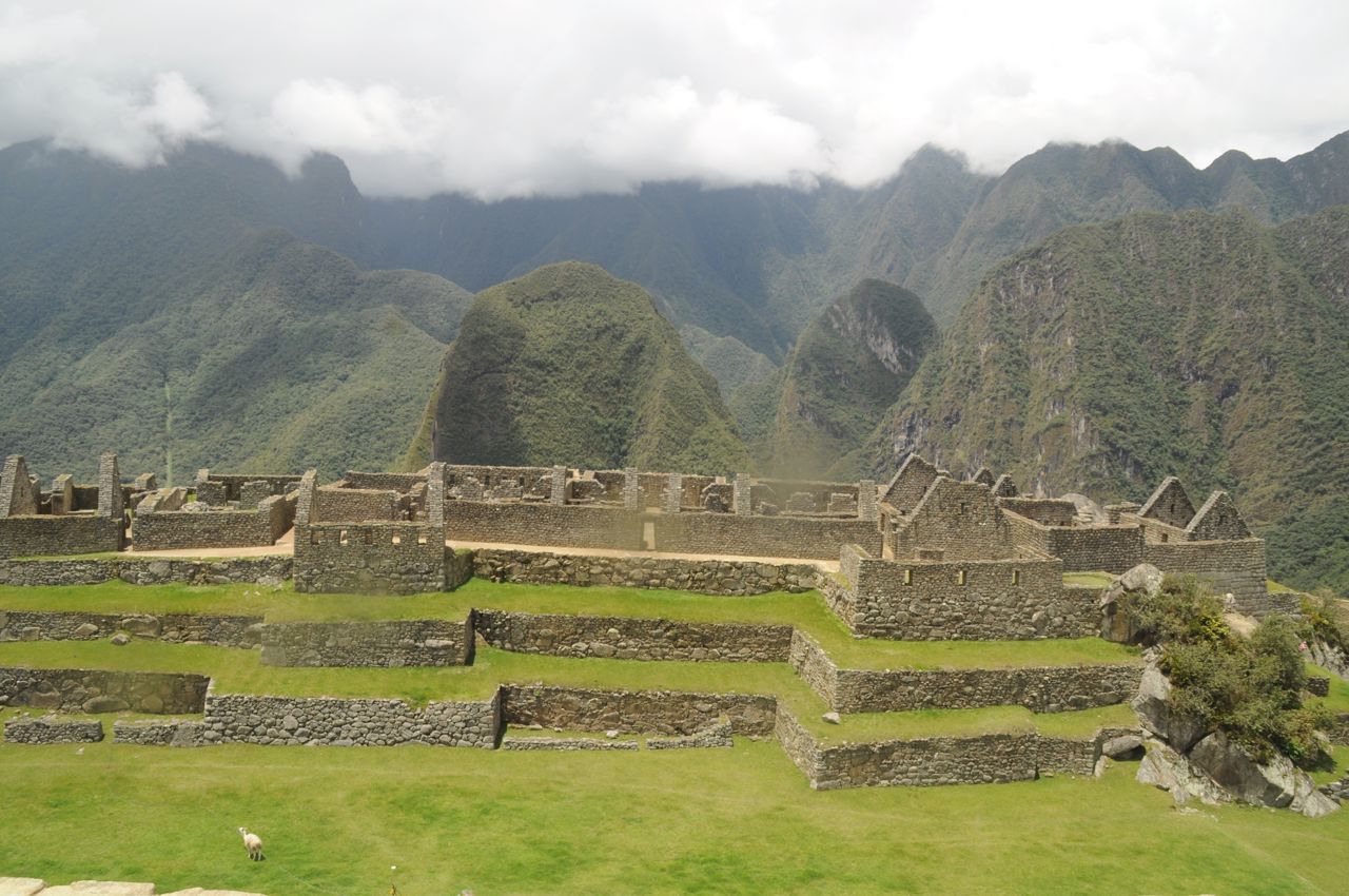 DSC_0814.jpg